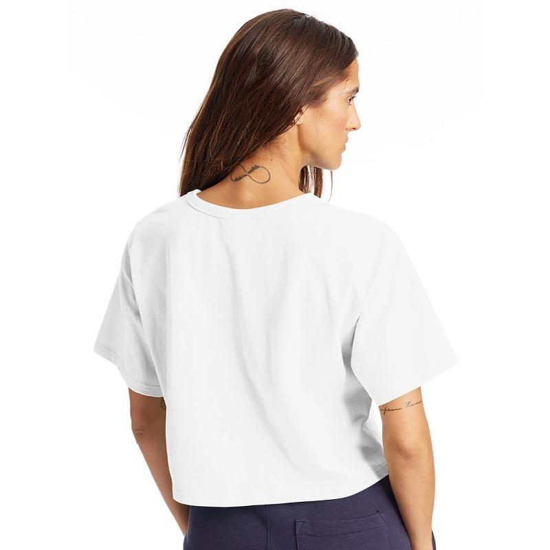 Vibrant Butterfly Mosaic