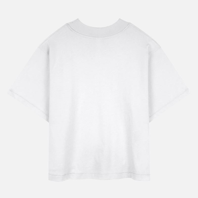 A cat in an astronaut suit