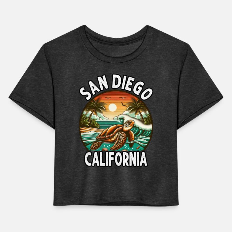 California Beach, San Diego Sea Turtle Beach