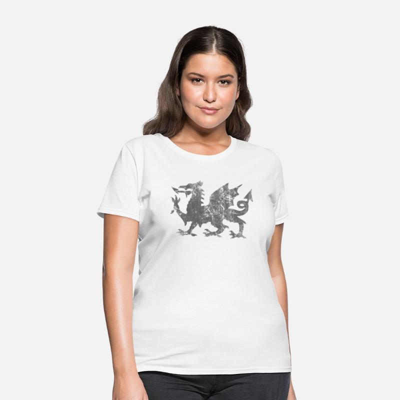 Welsh Flag Heraldry Dragon Welsh Soccer St